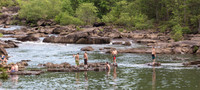 Ocoee Whitewater