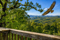 22 Soaring Hawk Trail- lower rersolution