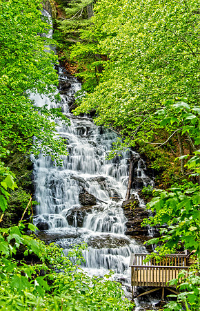 Vogel State Park- Blairsville Georgia