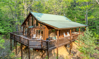 244 Lower Prince Mtn road