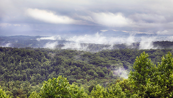View from Cloud Lodge cabin near Fannin Hospital