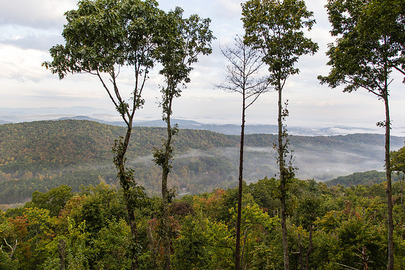 Cabin view off Aska road