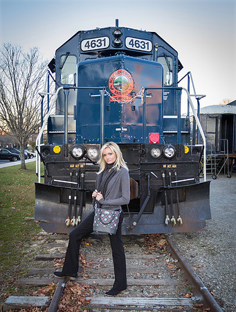 BR Scenic railway