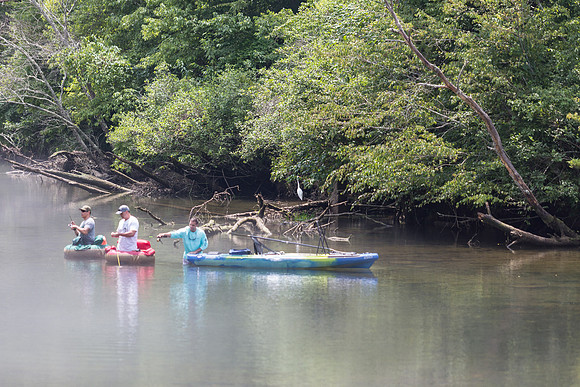 Toccoa river right below the dam