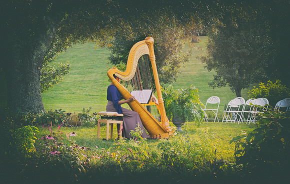 "Sweet wedding music"