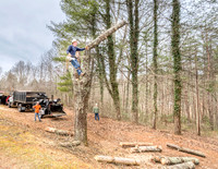 Tucker Tree Service