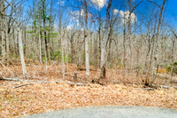 Grayson Point