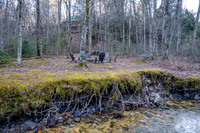 123 Lone Oak Drive
