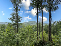 259 Toccoa Overllok- lower resolution