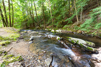 184 Laurel Ridge Drive